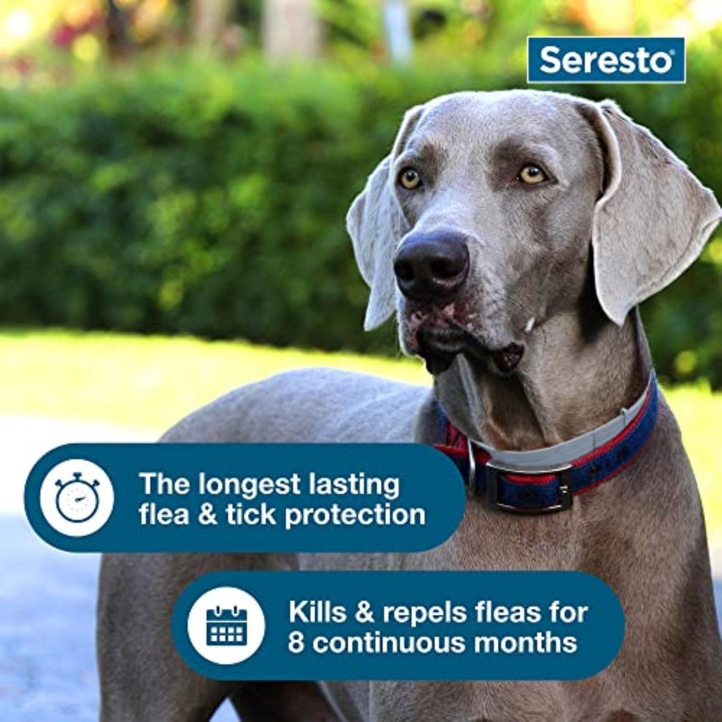 Seresto - Flea & Tick Preventative Collar for Large Dogs ( 30% Off )